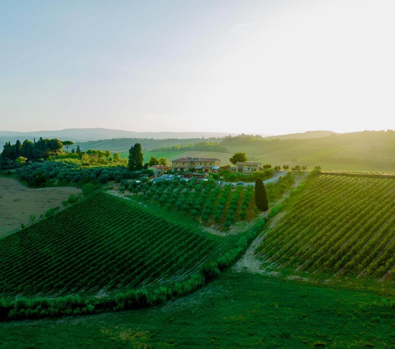 דירות פוג'יבונסי Vittoria Chianti Vacations מראה חיצוני תמונה